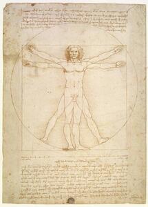Leonardo da Vinci - Fine Art Print The Proportions of the human figure , c.1492, (30 x 40 cm)