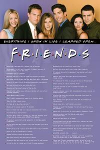 Poster Friends - Everything I Know, (61 x 91.5 cm)
