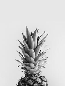 Illustration pineappleblackandwhite, Finlay & Noa, (30 x 40 cm)