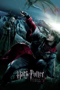 Art Poster Harry Potter - The Goblet of Fire - Harry, (26.7 x 40 cm)