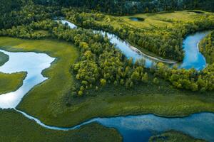 Photography Swamp, river and trees seen from above, Baac3nes