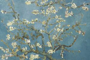 Poster Almond Blossoms, Vincent van Gogh