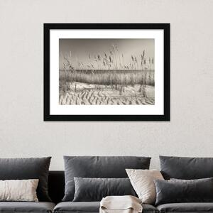 Dune Grass Framed Print Black and white