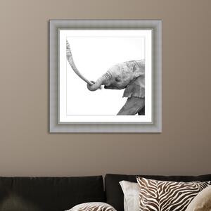 Don't Get Lost Framed Print Black and white