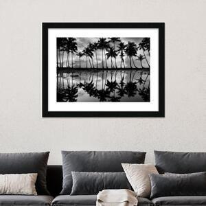 Palm Reflection Framed Print Black and white