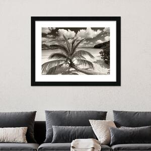 The Art Group Still Growing To The Sun Framed Print Black and white