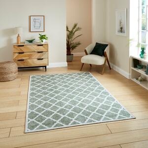 Coral H1063 Digitally Printed Rug Green