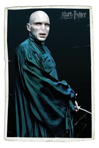 Art Print Voldemort