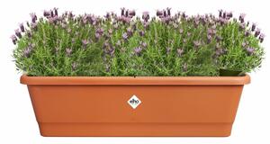 Plant pot Elho Brown 65 x 20 x 18 cm Plastic Squared