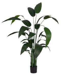 Decorative Plant PVC Cement Fabric Bird of paradise 50 x 50 x 220 cm