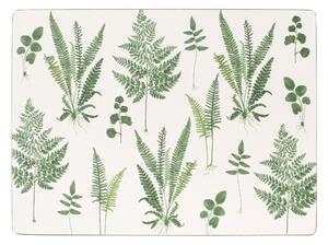 Fern Pack of 4 Corkback Placemats White