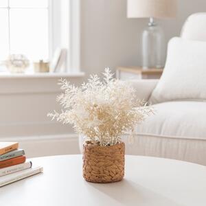 Artificial Pampas in Faux Wicker Plant Pot Natural