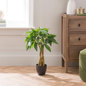 Artificial Money Tree Plant in Black Cement Plant Pot Green