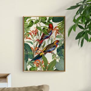 Exotic Jungle Birds by andrea Haase Framed Print Green/Red