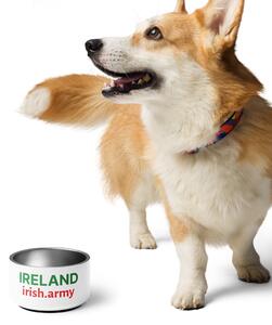 IRELAND - Pet Bowl