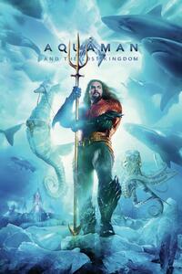 Art Poster Aquaman and the Lost Kingdom - King, (26.7 x 40 cm)