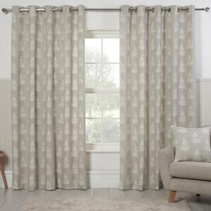 Esher Ready Made Eyelet Curtains Silver