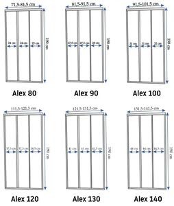 Shower doors Rea Alex 100