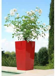 Plant pot Riviera Red Plastic Squared Circular Modern 29 x 29 x 52 cm 29 x 29 cm