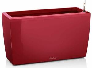 Plant pot Lechuza 75 x 30 x 43 cm Plastic Rectangular