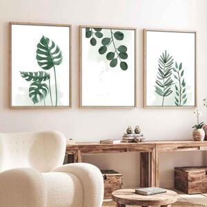 Stillform Wooden 20x30cm Monstera and Eucalyptus Art Frame Set of 3 in Multicolour