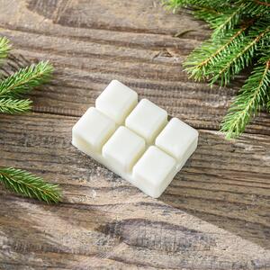 Set of 6 Winter Spice Wax Melts White