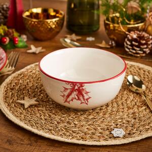 Winter Robin Ceramic Cereal Bowl White