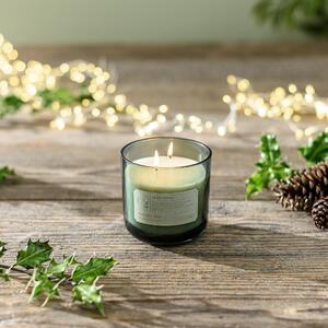 Mulled Cider Multi Wick Candle green