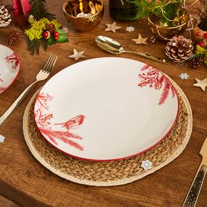 Winter Robin Ceramic Dinner Plate White