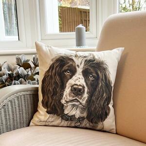 Daro Springer Spaniel Square Cushion