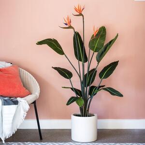 Artificial Bird of Paradise Flowering Plant