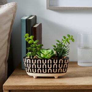 Artificial Succulents in Monochrome Patterned Plant Pot