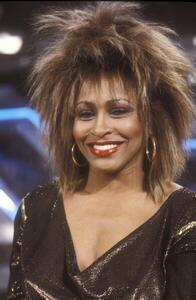 Photography Tina Turner, 1990