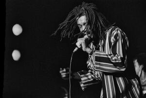 Photography Peter Tosh in concert/Roma, 1980