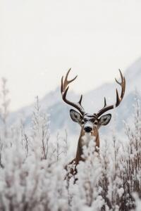 Photography Curious Deer, Treechild