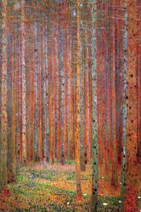 Poster Gustav Klimt - Fir forest