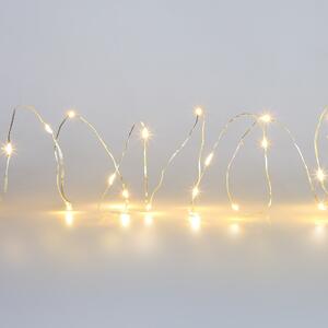 Warm White 20 LED String Lights Copper
