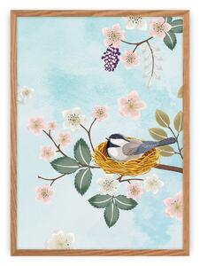 Bird picture