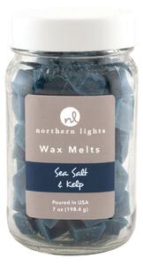 Sea Salt & Kelp Wax Melts Blue
