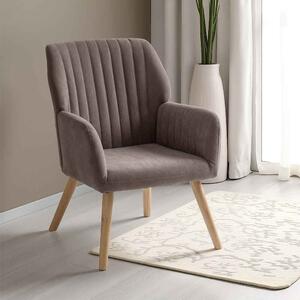 Lomaro Velvet Bedroom Occasional Chair in Brown