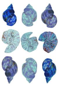 Art Print Blue Sea Shells, Poster cartissi