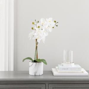 Artificial Orchid Cream in Marble Pot 56cm White