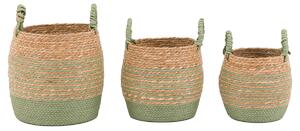 Junip Seagrass Basket in Olive Stripe, Set of 3