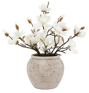 Magnolia Arrangement in Vase