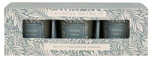 Aura Coastal Retreat Candles, Set of 3