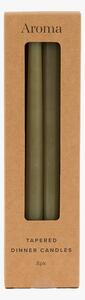 Lucera Tapered Dinner Candles in Olive, Set of 8