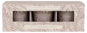 Aura Cashmere Woods Candles, Set of 3