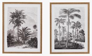 Palm Tree Sketches Wall Art, Set of 2