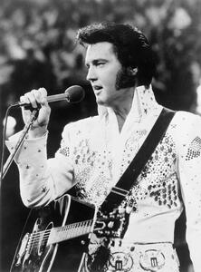 Photography Elvis Presley Performing, Bettmann