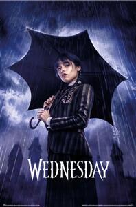 Poster Wednesday - Umbrella, (61 x 91.5 cm)